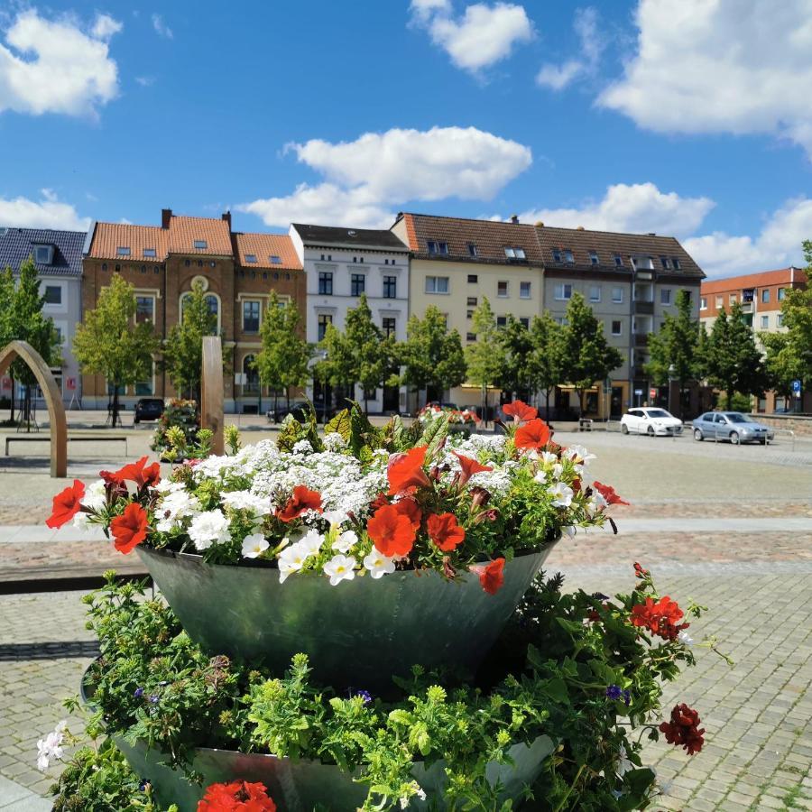 Modern-stadtnah-ruhig-parkplatz Und Geschirrspueler *